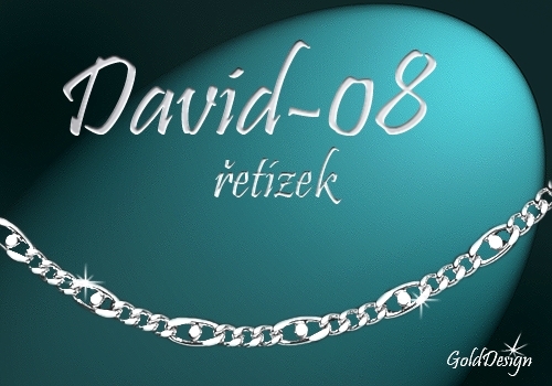 David 08 řetízek stříbřený